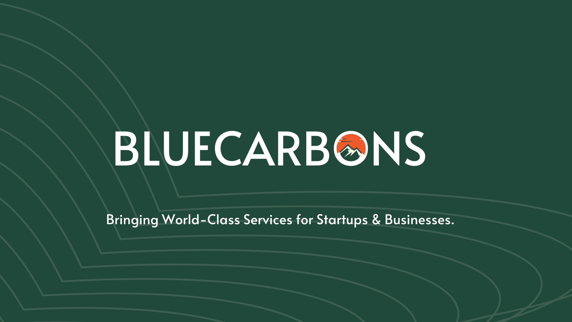 Why Partner with BLUECARBONS?